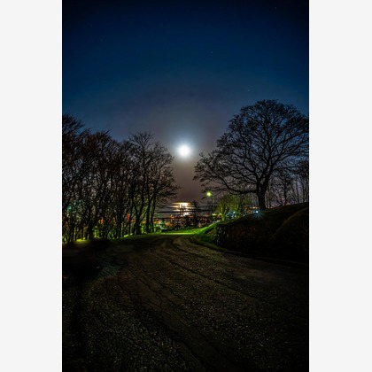 高木勇斗が撮影した「:albumName」の写真