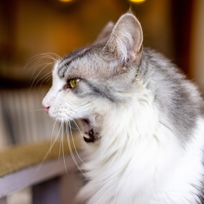 沖山俊樹が撮影した「:albumName」の写真