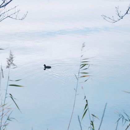 Shun Kanazawaが撮影した「:albumName」の写真