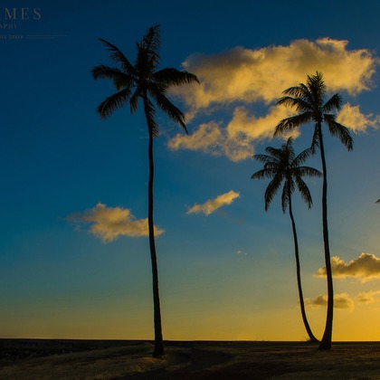 Photo of :albumName taken by 37framesphotography