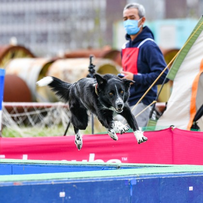 スタジオファンタスが撮影した「:albumName」の写真