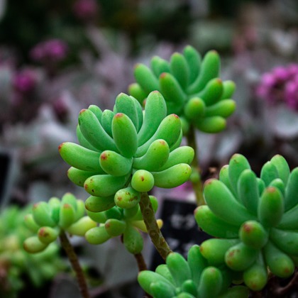 水嶋 将太が撮影した「:albumName」の写真