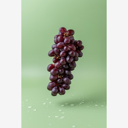 Hiroが撮影した「スタジオ、出張撮影」の写真