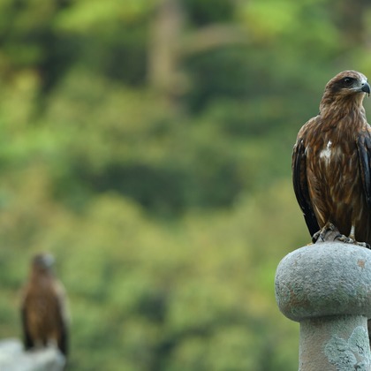 ライトステージが撮影したその他/店舗/オフィス/サロン撮影/イベント/スナップ撮影/商品/物撮りの写真