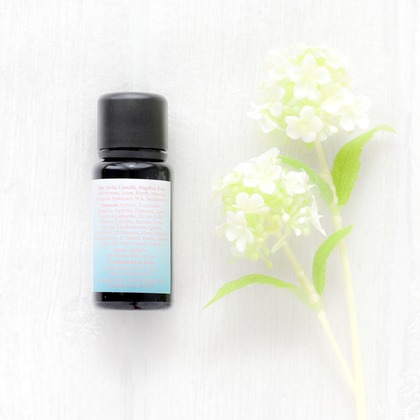 なかがわさとみが撮影した「:albumName」の写真