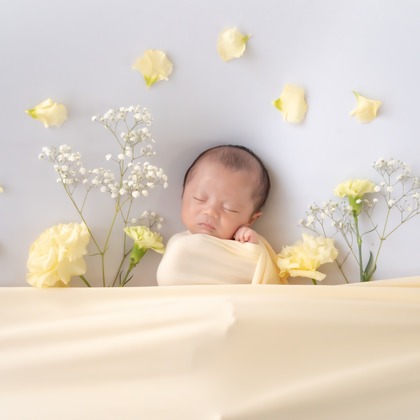 鈴木美咲が撮影した「:albumName」の写真