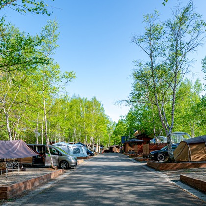 高木勇斗が撮影した「:albumName」の写真