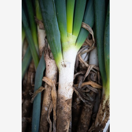 伊藤　壮司が撮影した料理撮影の写真