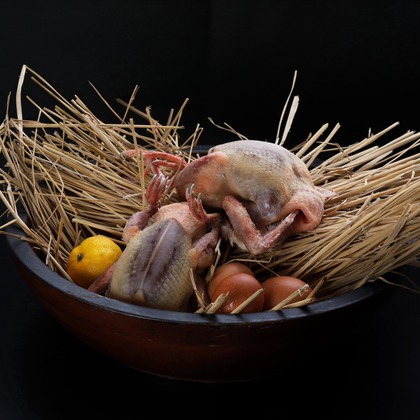 森安　照が撮影した「:albumName」の写真