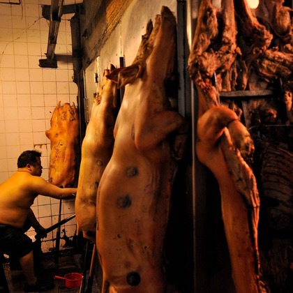 菊地事務所が撮影した「:albumName」の写真