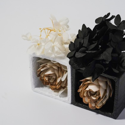 tkphotoが撮影した「:albumName」の写真