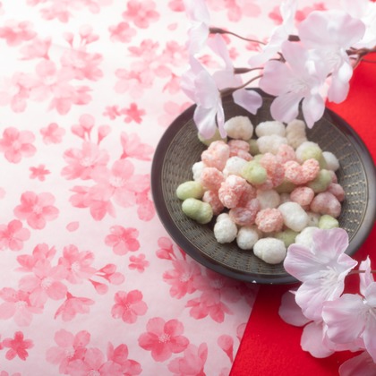 写真屋ごんちゃんが撮影した「:albumName」の写真