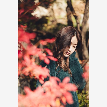 内藤駿介が撮影した「:albumName」の写真