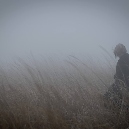 ならもとかずやが撮影した「:albumName」の写真