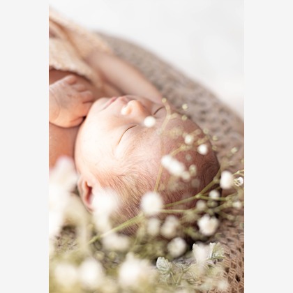 kudophotoが撮影したニューボーンフォト/家族写真の出張撮影の写真