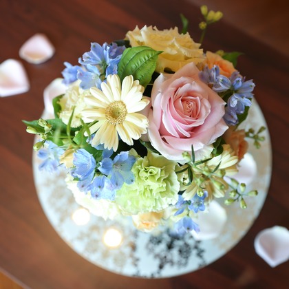 Photo of :albumName taken by SATOMI NAKAGAWA