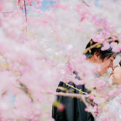 Tomi Photo Studioが撮影したウェディングや家族、ビジネスの写真