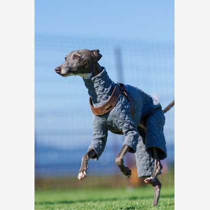 T.Matsumuraが撮影したイベント/スナップ撮影の写真