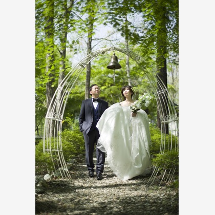 My Style Garden Studio が撮影した「新緑」の写真