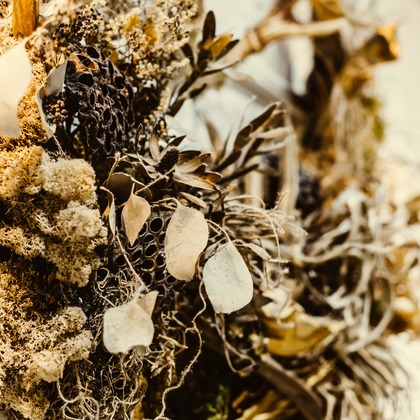 KOBASHOが撮影した「:albumName」の写真