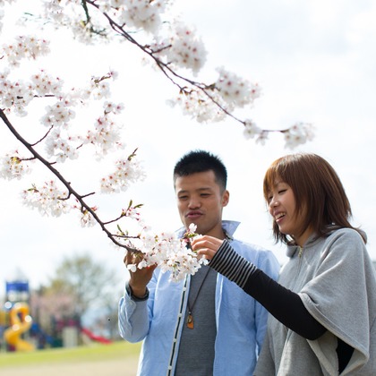 studio HATOYAが撮影した「:albumName」の写真