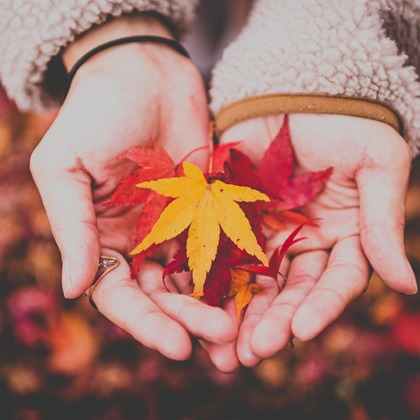 内藤駿介が撮影した七五三フォト/お宮参り/学校行事/旅行先の記念撮影の写真