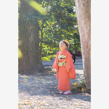 この写真は、出張撮影(家族写真(キッズ,ベビーフォト))のアルバム「七五三」にある写真の1枚で、家族写真(キッズ,ベビーフォト)などが写っています。<br>「七五三」では他にも:albumPhotoCount枚の家族写真を見ることができます。撮影者は結×繋photoです。カメラマンのプロフィールページで、家族写真(キッズ,ベビーフォト)撮影の口コミやおすすめコメントを見ることができます。