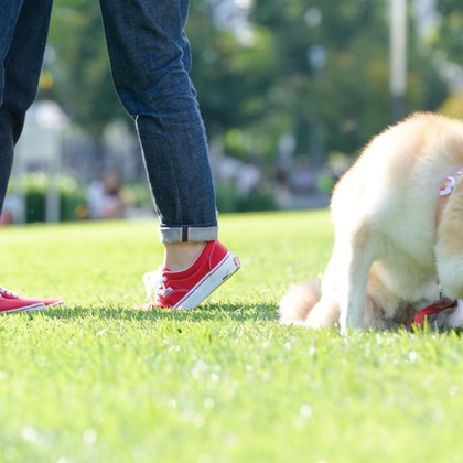 ライトハウスフォトが撮影したウェディングや家族、ビジネスの写真