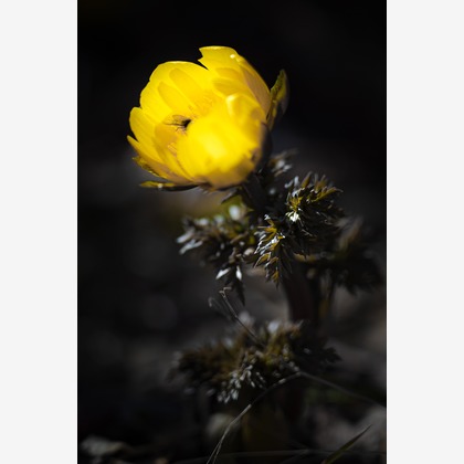 高木勇斗が撮影した「:albumName」の写真