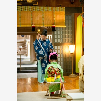 中村將一写真事務所が撮影した「:albumName」の写真