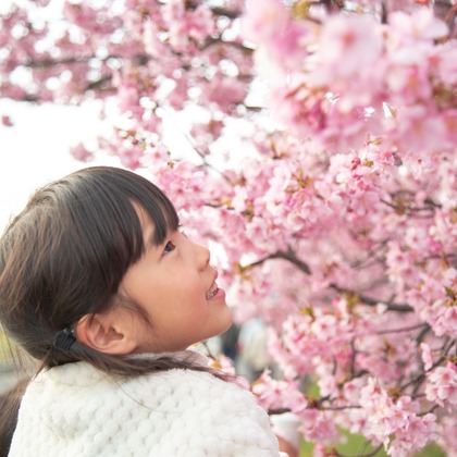 ゆのみふぉとが出張撮影した自然の中の人々, 手をつないで, 友情などが写った「桜とお写真」の家族写真