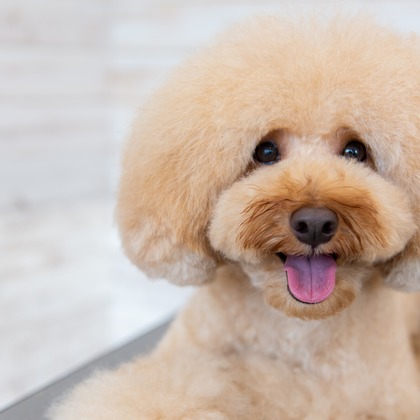 maruが撮影した「:albumName」の写真