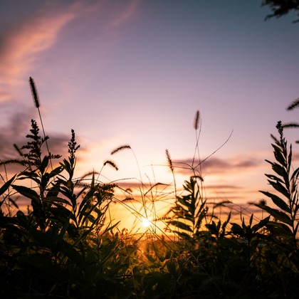 岡田　哲昇が撮影したその他/イベント/スナップ撮影の写真