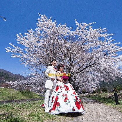 Wedding, Bridal Photos taken by araddin no lamp