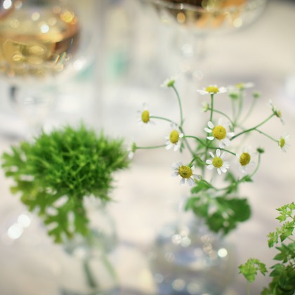 Photo of :albumName taken by SATOMI NAKAGAWA