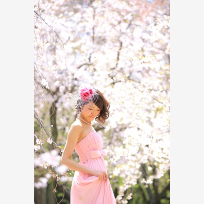 Photo of :albumName taken by Studio 8