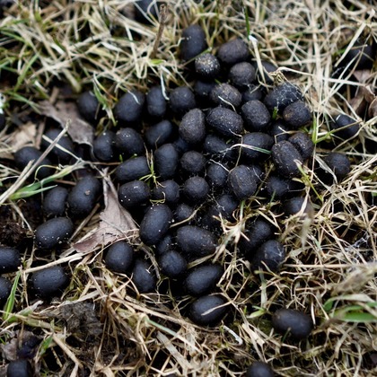 神部葵が撮影した「:albumName」の写真