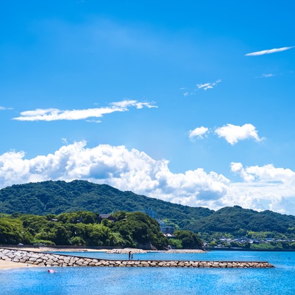 フォトスタジオ　ちっくたっくが撮影したその他の写真