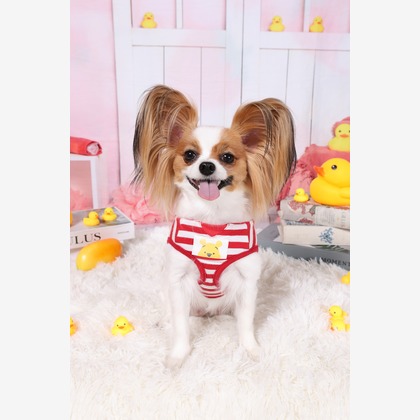 WithshopJapanが撮影した「ペット撮影」の写真