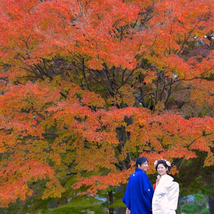Photo of Pre Weddingphotoshoot at kyoto with kimono in autumn taken by Kiki photo works