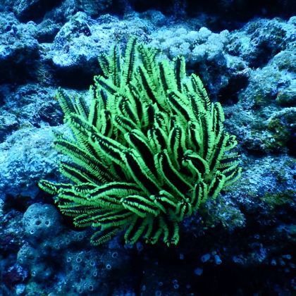 杉野優介が撮影した「:albumName」の写真