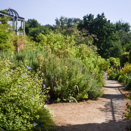 Lucky Sliver Sixpenceが撮影した「プラン名：Romantic Park(ロケーション参考写真）」の写真