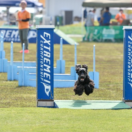 スタジオファンタスが撮影した「:albumName」の写真
