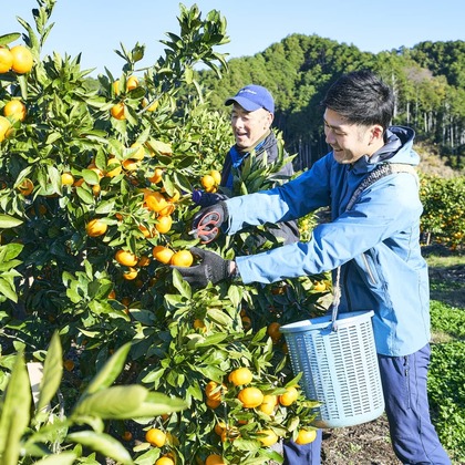 大橋裕紀が撮影したイベント/スナップ撮影/商品/物撮り/人物撮影の写真