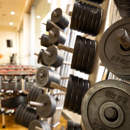 長竹　進吾が撮影した「:albumName」の写真