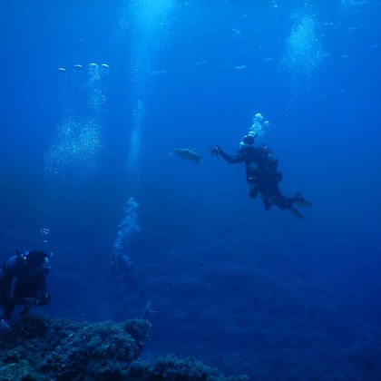 杉野優介が撮影した「:albumName」の写真