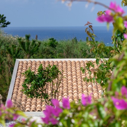 株式会社ラプラスが撮影したその他の写真