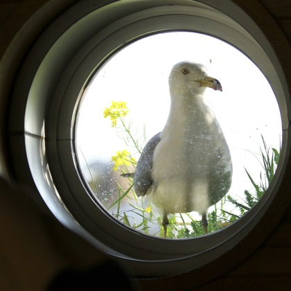 TATEZOUが撮影した「:albumName」の写真