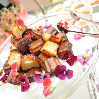 藤尾輝弘/フォトオフィスバドが撮影した「:albumName」の写真