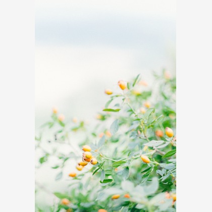 Wedding, Bridal Photos taken by Lénaïc Maréchal